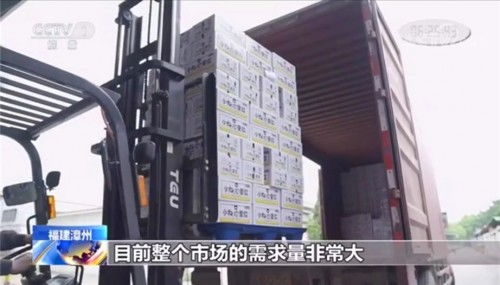 小白心里軟榮獲央視認(rèn)可點(diǎn)贊