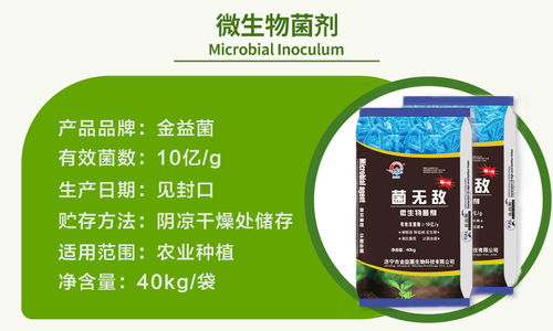 辣椒專用微生物菌劑——金益菌生物科技引領(lǐng)生物菌劑新趨勢